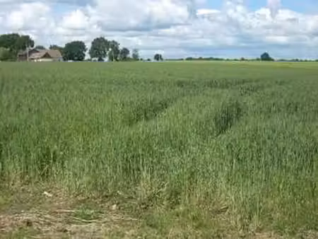 vente terrain à saint-georges-du-rosay (72110) : à vendre / saint-georges-du-rosay