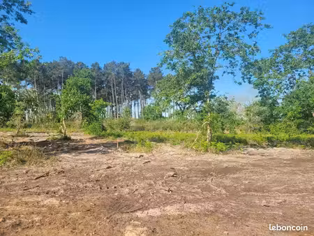 terrain 420 m² salles