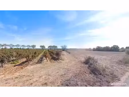terrain 370 m² alignan du vent