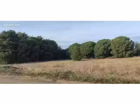 terrain 350 m² autignac