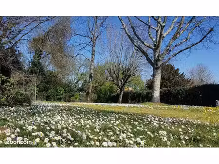 terrain 750 m² margaux