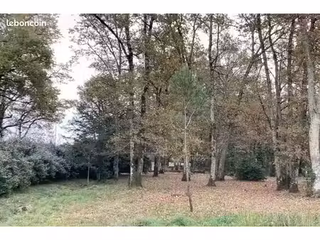 terrain 391 m² le taillan medoc