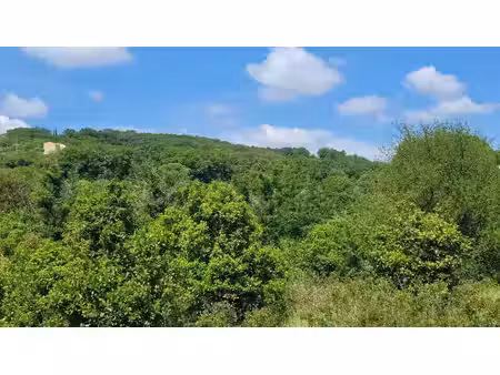 terrain constructible viabilisé à vendre