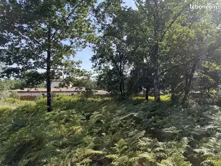 terrain 1 040 m² saint aubin de medoc