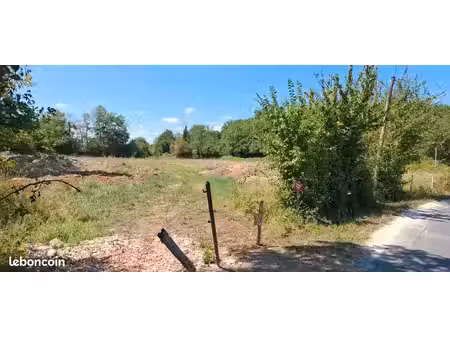 terrain jardin