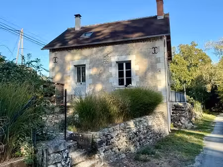 maison avec terrain et belle pièce de vie