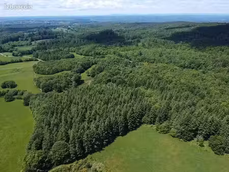 terrain domaine forestier