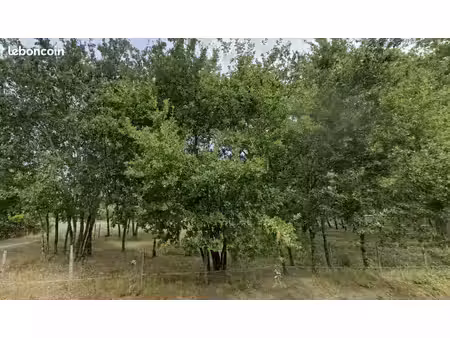 terrain 808 m² gujan mestras