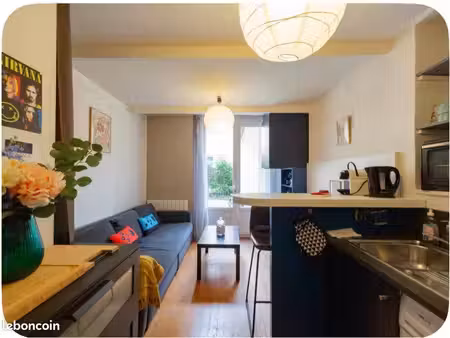 charmant duplex t1 bis avec terrasse – lyon 6  quai de saône