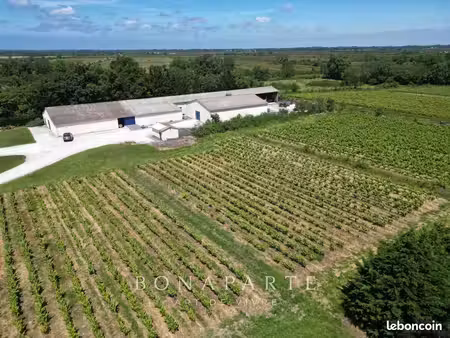 propriété 12 pièces 1713 m²
