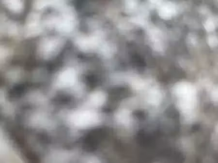 location de terrain à la nuitée