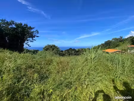 terrain 7 000 m² le morne vert