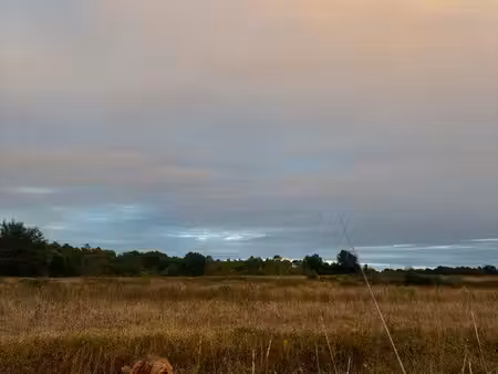 location pre chevaux