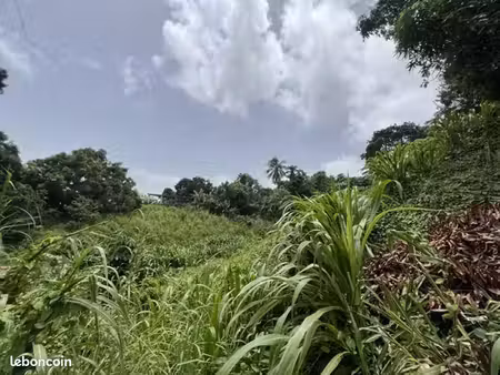 terrain 1 345 m² riviere salee
