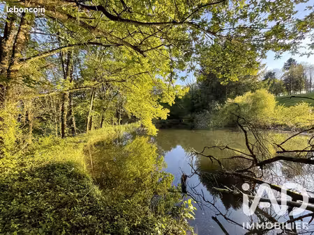 terrain 54604 m² naves