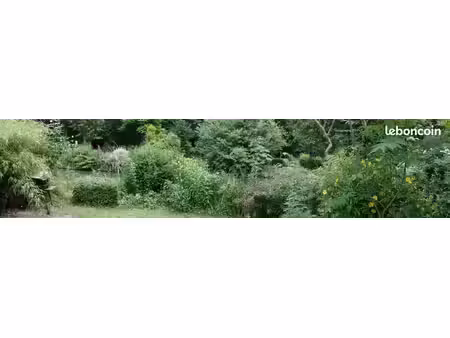 terrain de loisirs  jardin d'agrement avec pièce d'eau