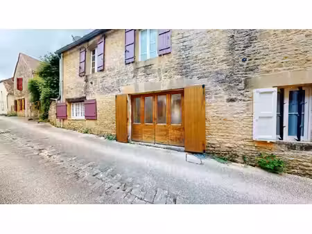en périgord noir  dans un charmant petit village typique  maison en pierre avec jardin et.