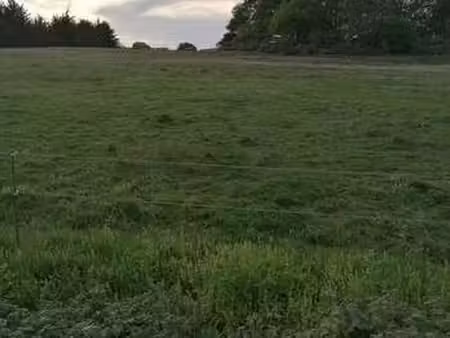 vente terrain à landévant (56690) : à vendre / landévant