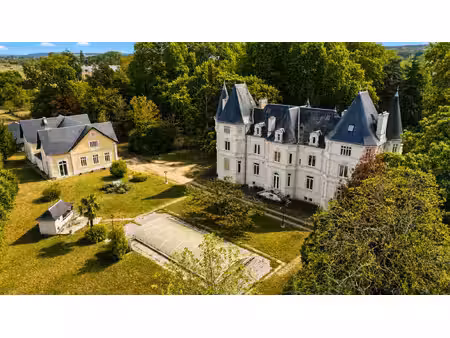 demeure de prestige ingrandes 15 pièce(s) 560.88 m2 + maison rénovée de 80m² + dépendance 