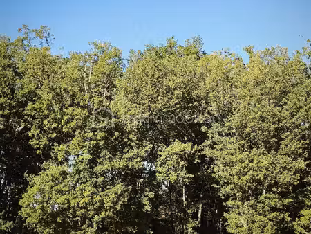 terrain de 815 m² à monclar-de-quercy