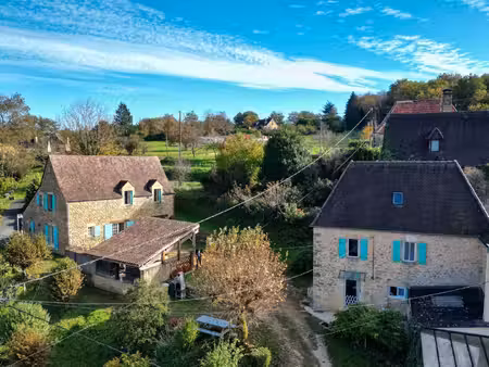 secteur sarlat- ensemble immobilier en pierre de 2 maisons sur 2000 m² arborés
