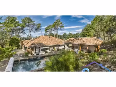 maison avec piscine et jardin moliets-et-maa (40)