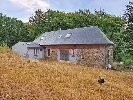 agreable maison en pierre et sa dépendance
