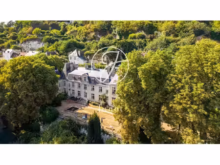 château troo - 13 chambres - 1320m²