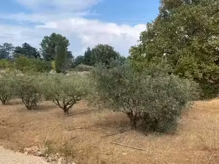 vente terrain neuf 620m2 saint-maximin-la-sainte-baume - 200000 € - surface privée