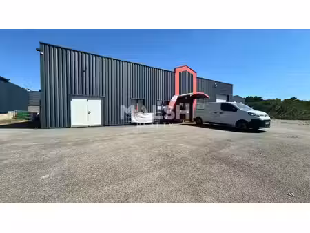 location local d’activités guéreins 01090 298m²