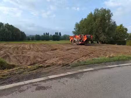 immo bigsand - uw lokale partner in vastgoed!