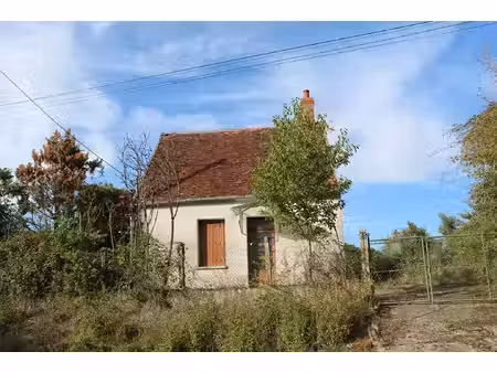 maison 2 pièces 59 m² à vendre / acheter jussy-le-chaudrier 18140 ? | era immobilier