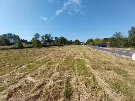 negrepelisse terrain au calme  viabilisé et relié au tout à l
