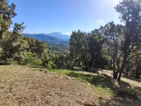 terrain vue panoramique montagne