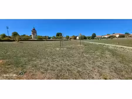 terrain