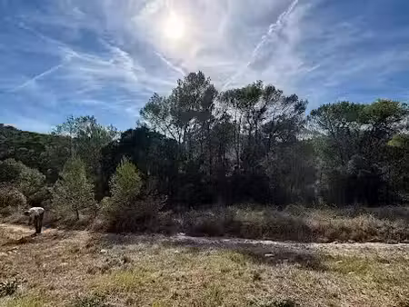 vente terrain 5350 m² à sainte-anastasie-sur-issole (83136)  15 000 €