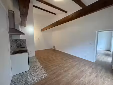 location appartement 2 pièces 44m2 amélie-les-bains-palalda 66110 - 450 € - surface privée