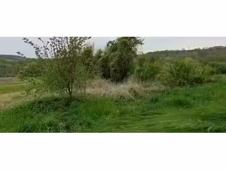 vente terrain à batir 1001 m² à braye (02880)  30 000 €