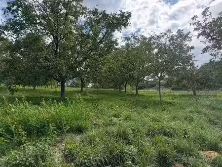 vente terrain 4710 m² à saint-cirq-souillaguet (46300)  32 000 €