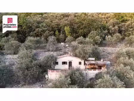 magnifique oliveraie et forêt avec cabanon en vallée de la siagne 16190 m2