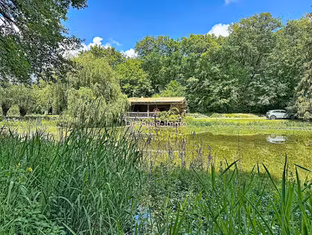 perigord chalet + etang
