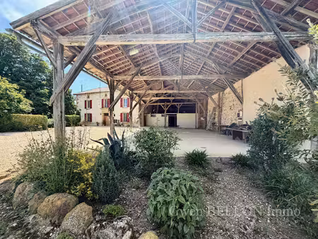 domaine de charme face aux pyrénées - 585 m² habitables  gîtes exploités  piscine  grange 