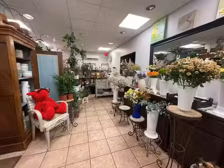 vente locaux professionnels 0 pièces 45 m² à nice (06000)  76 320 €