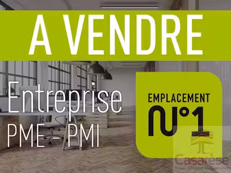 vente locaux professionnels 0 pièces 300 m² à locminé (56500)  122 000 €