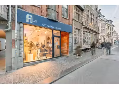 commercieel te huur in leuven