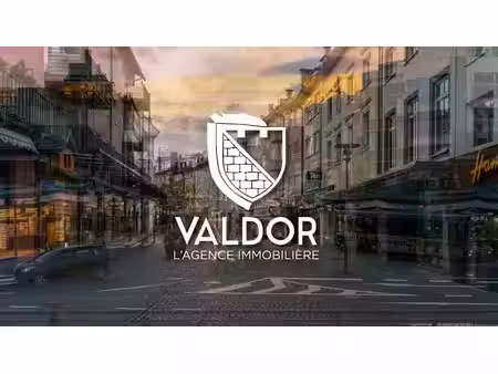 vente locaux professionnels 0 pièces 500 m² à belleville (69220)  250 000 €