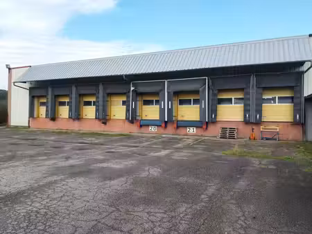 vente local d’activités mattaincourt 88500 12903m²