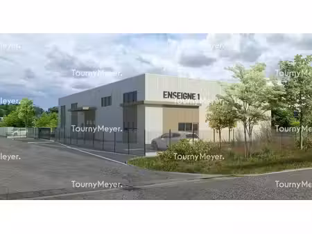 location entrepôt villeneuve tolosane 31270 428m²