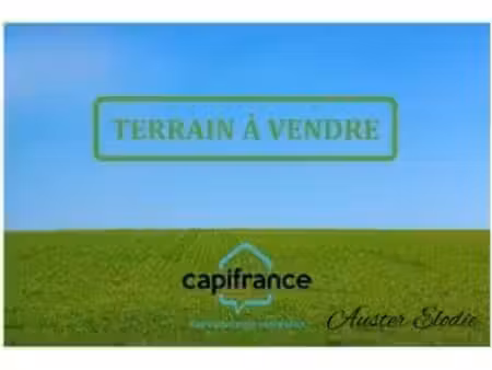 terrain à vendre le moule (971)