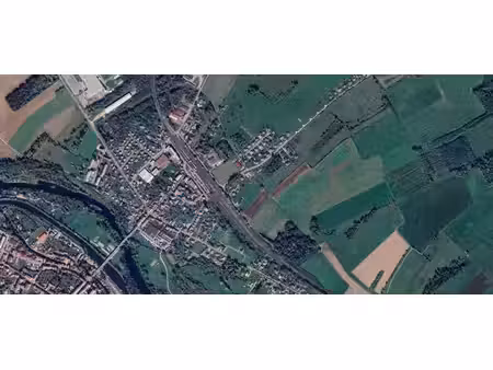 vente terrain essegney 88130 12000m²